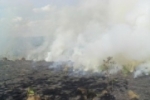 Ariquemes: Número de queimadas urbanas aumenta 450% em 