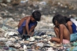 CRIANÇAS MORREM APÓS COMER COMIDA DE LIXÃO EM PERNAMBUCO