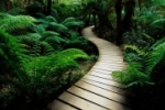 A NATUREZA TERRENA E A TENTAÇÃO DE JESUS