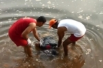 Cacoal: Adolescente que morreu afogado nas águas do Rio Machado é identificado