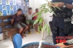 ARIQUEMES: Polícia localiza pé de maconha em residência no Bairro São Luiz
