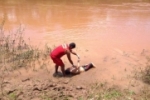 Conflito por uma área de terras no Sul do Pará termina com a chacina de 06 pessoas – IMAGENS FORTES