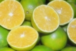 ARIQUEMES: Laranja de qualidade é Laranjas Rolim