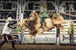 ARIQUEMES: Peão de Vale do Paraíso/RO conquista Rodeio Qualify da Expoari