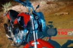 ARIQUEMES: Cachorro entra na frente de motocicleta e deixa vítima ferida