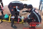 ARIQUEMES: Jovem fica ferido ao atropelar cachorro na Av. Diamantes