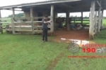 ARIQUEMES: Quadrilha invade fazenda na RO–257 para roubar trator
