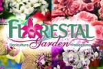 ARIQUEMES: Presenteie sua m&atilde;e com as lindas flores da Florestal Garden &ndash; FOTOS
