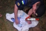 Ji&ndash;Paran&aacute;: Pol&iacute;cia Militar resgata beb&ecirc; raptado
