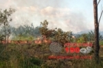 ARIQUEMES: Corpo de Bombeiros combate inc&ecirc;ndio em pasto no Setor Chacareiro