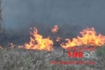 ARIQUEMES: Grande inc&ecirc;ndio em pasto &eacute; registrado &agrave;s margens da BR&ndash;364