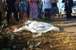 PORTO VELHO: Mulher &eacute; assassinada e desovada em via da zona Sul