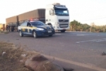 Motociclista bate em capivara e morre atropelado por carreta na BR&ndash;364