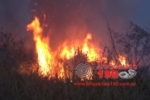ARIQUEMES: Matagal ao lado do Jardim Feliz Cidade &eacute; consumido por inc&ecirc;ndio