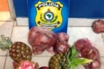 PERU – Cocaína vinha para Porto Velho dentro de cebola e abacaxi