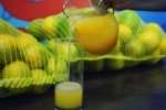 ARIQUEMES: Laranjas de qualidade você encontra na Laranja da Roça