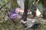 Aeronave de pequeno porte cai em Manaus e cinco pessoas morrem &ndash; Confira o v&iacute;deo