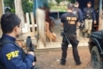 ARIQUEMES: CARGA PESADA – Polícia Civil em conjunto com a Polícia Rodoviária Federal deflagra Operação de Combate ao Tráfico de Drogas