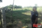 MACHADINHO: Boi furtado em Monte Negro é recuperado em propriedade na RO–133
