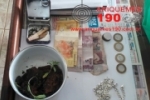 ALTO PARAÍSO: Guarnição do Sgt. Carlos apreende cultivo de Maconha no Jd. Primavera