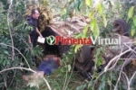 Mulher fica em estado grave após capotar veículo na BR–364 em Pimenta Bueno
