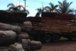 CUJUBIM: Polícia Ambiental e SEDAM localizam elementos cometendo crime ambiental