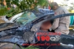 ARIQUEMES: Mulher fica gravemente ferida após capotar veículo na Perimetral Leste – Violência do impacto arrancou palmeira na lateral da via