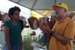 Agroindútria lança doce de leite com biomassa na Expovale em Ariquemes