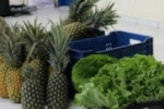 PROGRAMA DE AQUISIÇÃO DE ALIMENTOS DEVE ATENDER MAIS DE 60 INSTITUIÇÕES EM ARIQUEMES