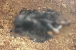 Corpo carbonizado é encontrado após a ponte do Rio Madeira em Porto Velho