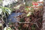 ALTO PARAÍSO: Carro cai em ribanceira após condutor dormir ao volante