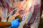 No melhor resultado do ano, exportações de carne bovina têm alta de 24% no estado de Rondônia