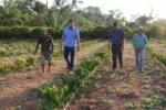 Adelino Follador parabeniza produtor de café clonal no Assentamento Madre Cristina