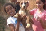 ARIQUEMES: Cachorro é resgatado por Bombeiros após cair em poço no Jd. América