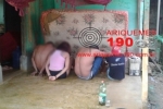 ARIQUEMES: PM acaba com desmanche clandestino e recupera motonetas roubadas