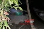 CUJUBIM: Pescador morre com tiro acidental na beira do Rio Preto