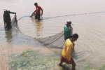 Pesca fica proibida até Março de 2018 em Rondônia durante o Período de Defeso