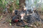 Pescadores encontram corpo humano em chamas na beira do Rio Machado, em Ji–Paraná