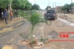 ARIQUEMES: Moradores plantam coqueiro em buraco no meio da Av. Perimetral Leste