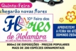 ARIQUEMES: Chegaram novidades na Feira de Flores de Holambra
