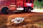 Vilhena: Mulher é assassinada a facadas e casa é incendiada