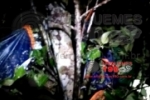 BURITIS: DESASTRE – Árvore cai em cima de acampamento, mata duas pessoas e deixa sete feridas