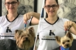 ARIQUEMES: La&iacute;s Gon&ccedil;alves do Pet Shop do Ga&uacute;cho participa de curso em SP e fica em 6° Lugar em concurso nacional de tosa