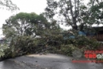 ARIQUEMES: MAIS FOTOS – Temporal deixa rastros de destruição pela cidade
