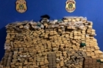 SATIVA: PF deflagra operação e apreende quase 2 toneladas de drogas em Rondônia