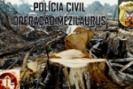 OPERAÇÃO MEZILAURUS: Polícia Civil e Ministério Público deflagram operação de combate ao desmatamento ilegal de madeira e à corrupção