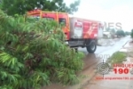 ARIQUEMES: Após chuva, galho cai e obstrui rua no Setor 05