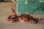Lixo acumulado no período de chuva atrai animais peçonhentos às residências em Rondônia