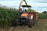 “Propriedade Rural Produtiva” beneficia produtores rurais de Ariquemes com hora–máquina gratuita