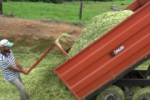 “Propriedade Rural Produtiva” beneficia produtores rurais de Ariquemes com hora–máquina gratuita